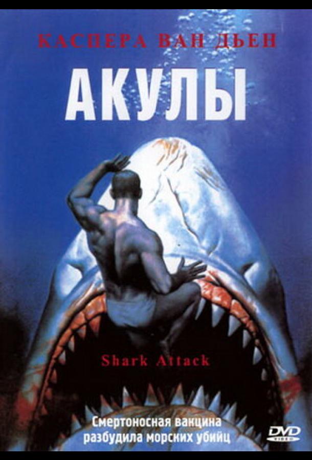 Смотреть Акулы